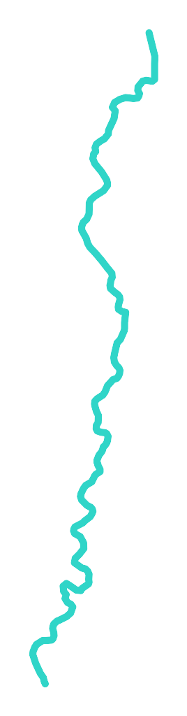 Bóbr nr 4