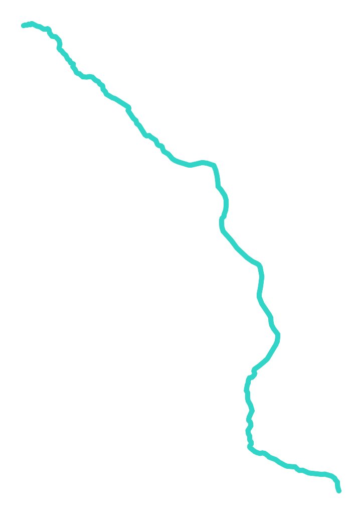 Bobrzyca