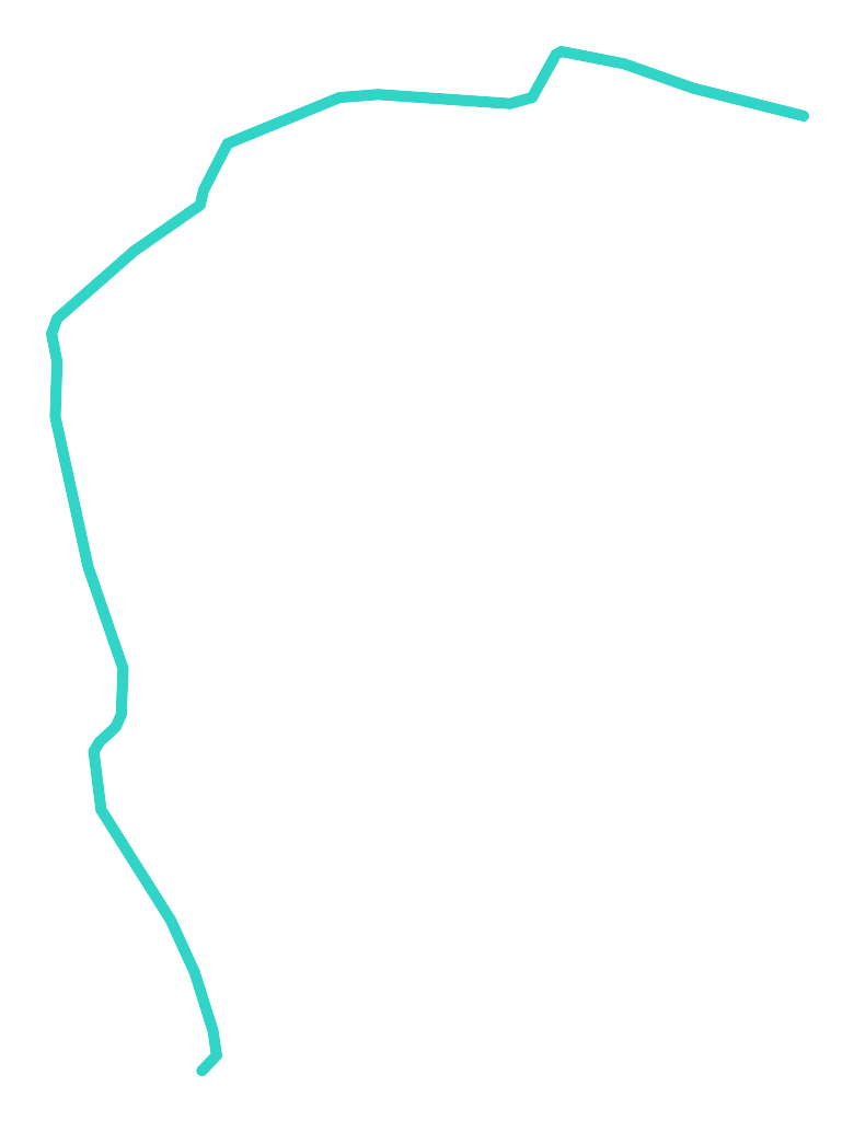 Rokitka
