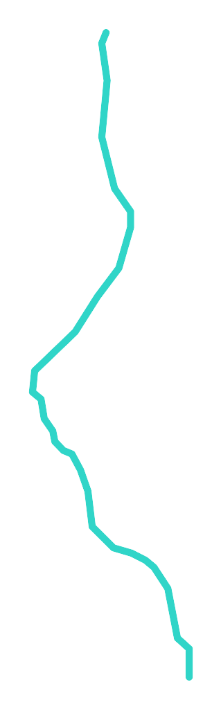 Jałówka