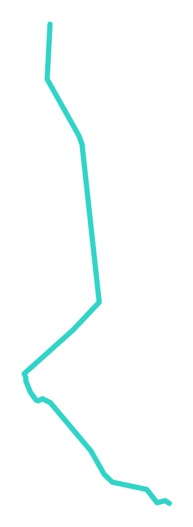 Żylawa