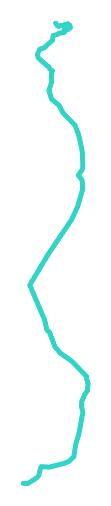Sarenka