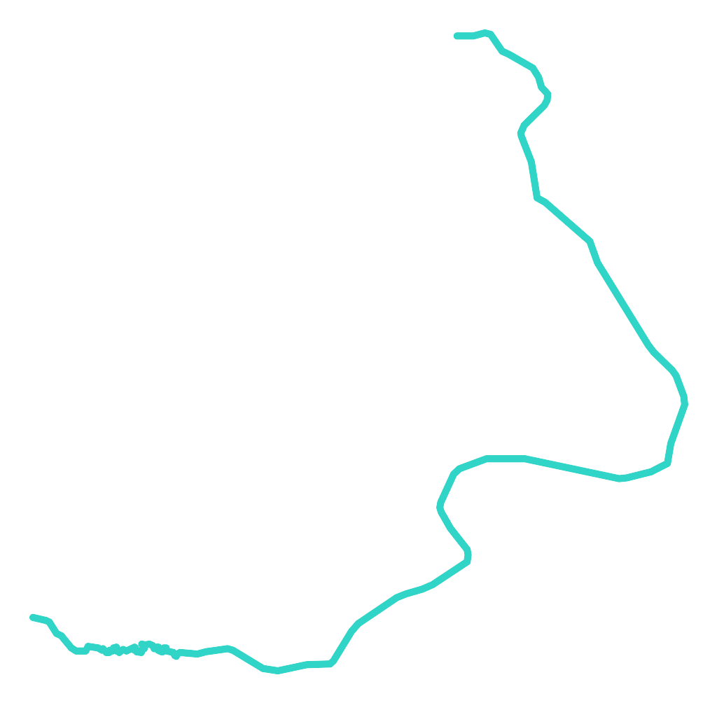 Wyderka