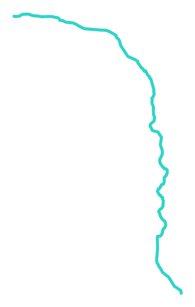 Niedźwiada