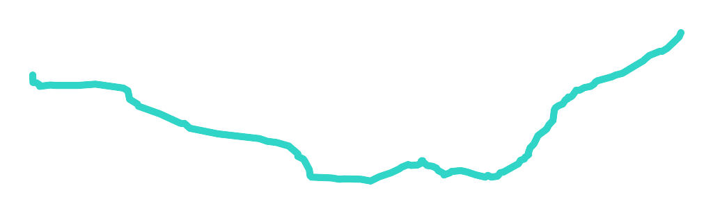 Ner