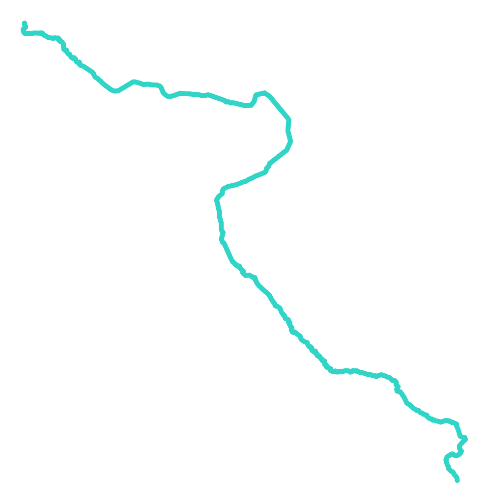 Pisia