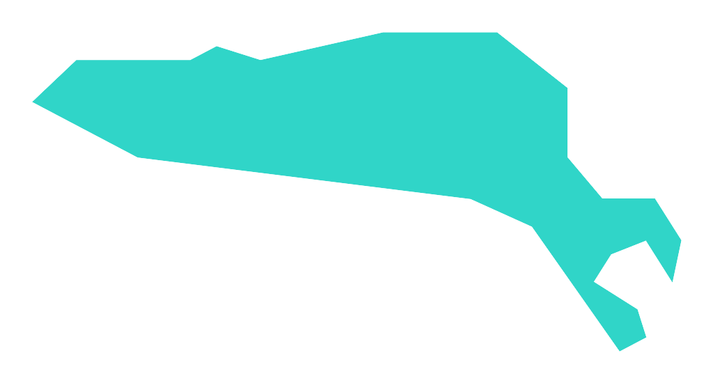 Lisów