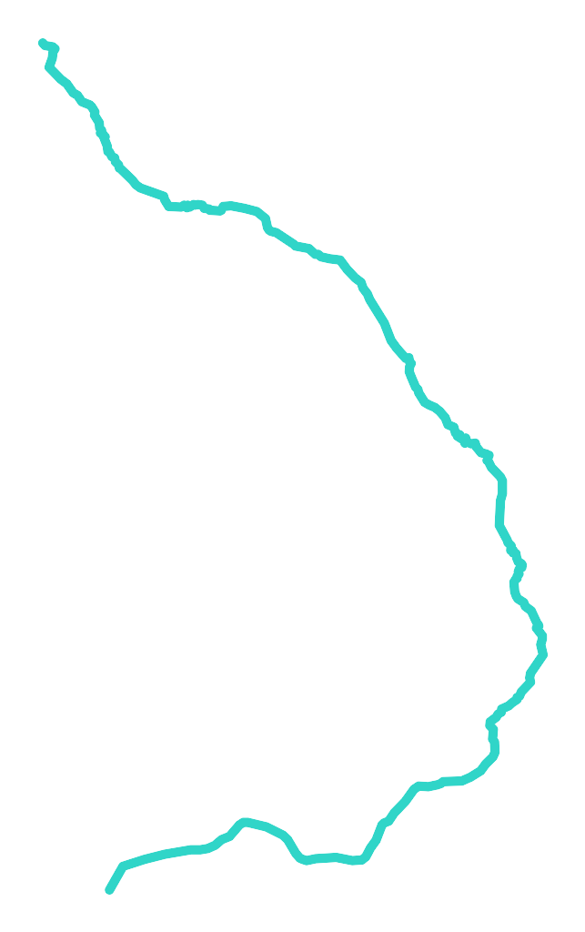 Pisia