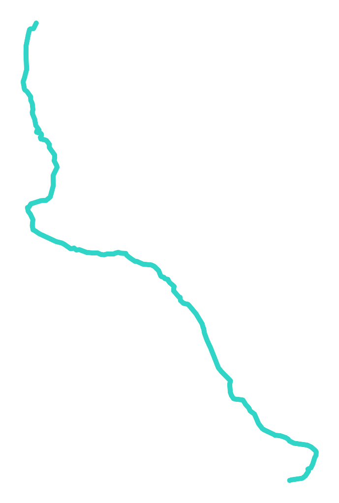 Pisia