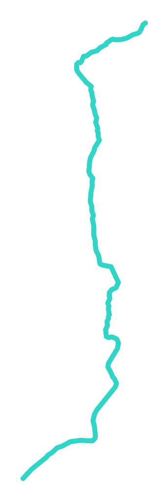 Przepiórka