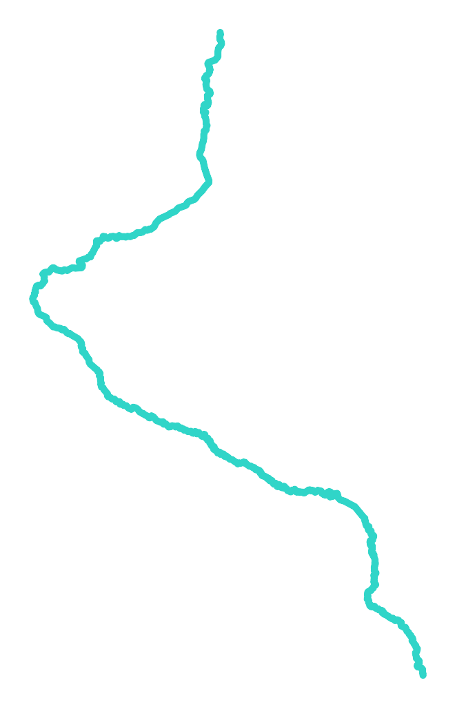 Płytnica