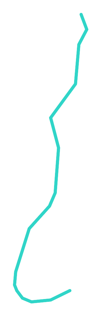 Bukówka nr 1