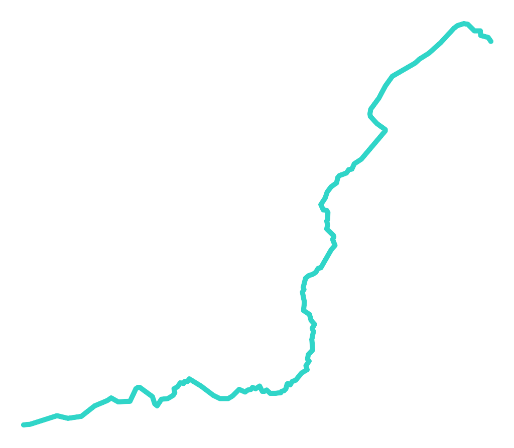 Jelonka