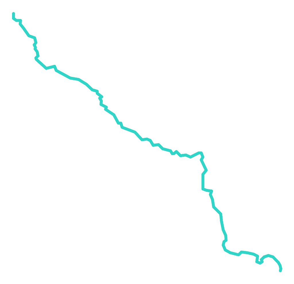 Rurzyca