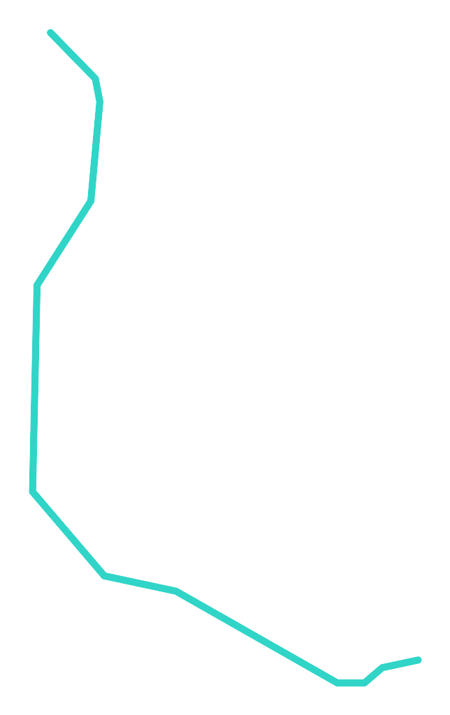 Błotnica