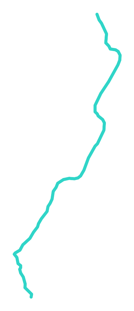Wąsietnica