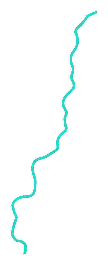 Dunajec nr 8