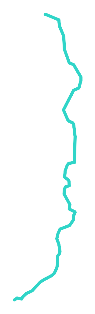 Cicha