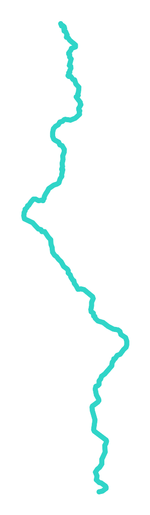 Jatynia