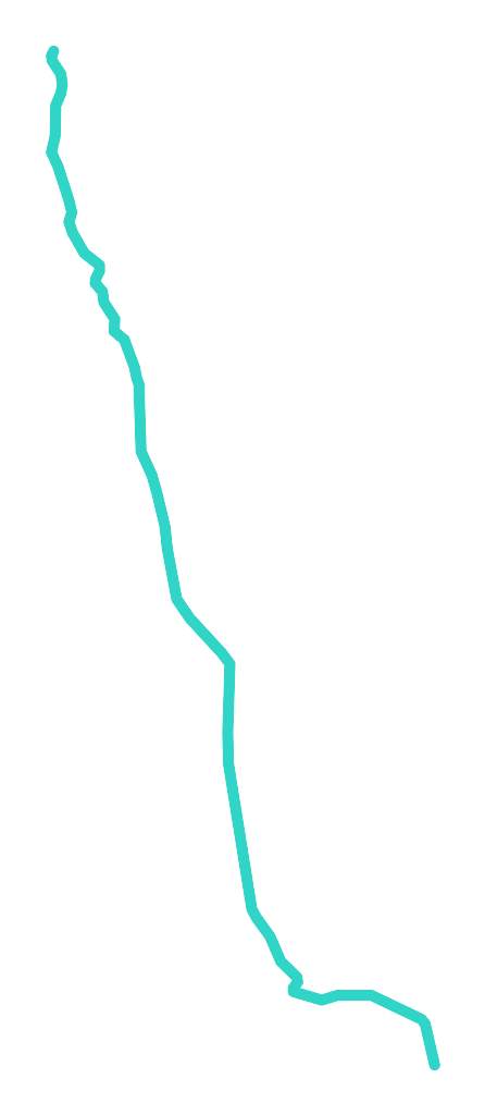 Wełna nr 2