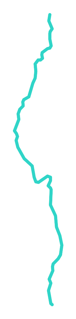 Zdbica nr 1