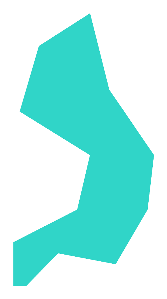 Sęki