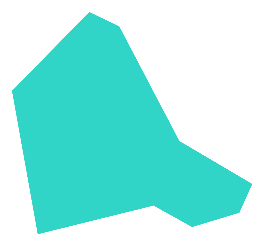 Pluskowęsy