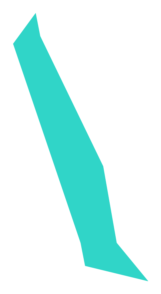 Pastwa