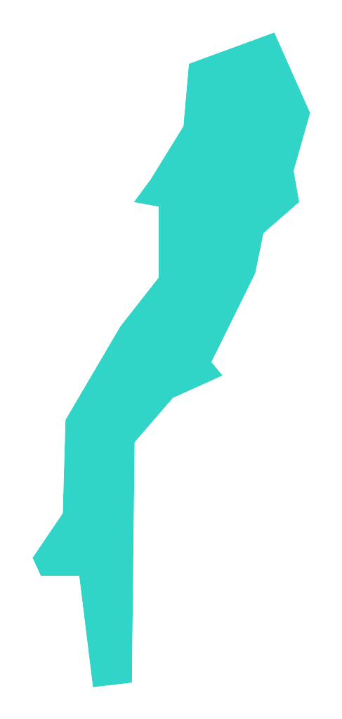 Jaraczewo (NO-KILL)