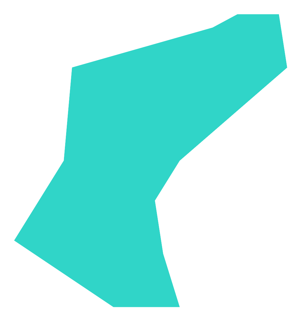 Wodniki