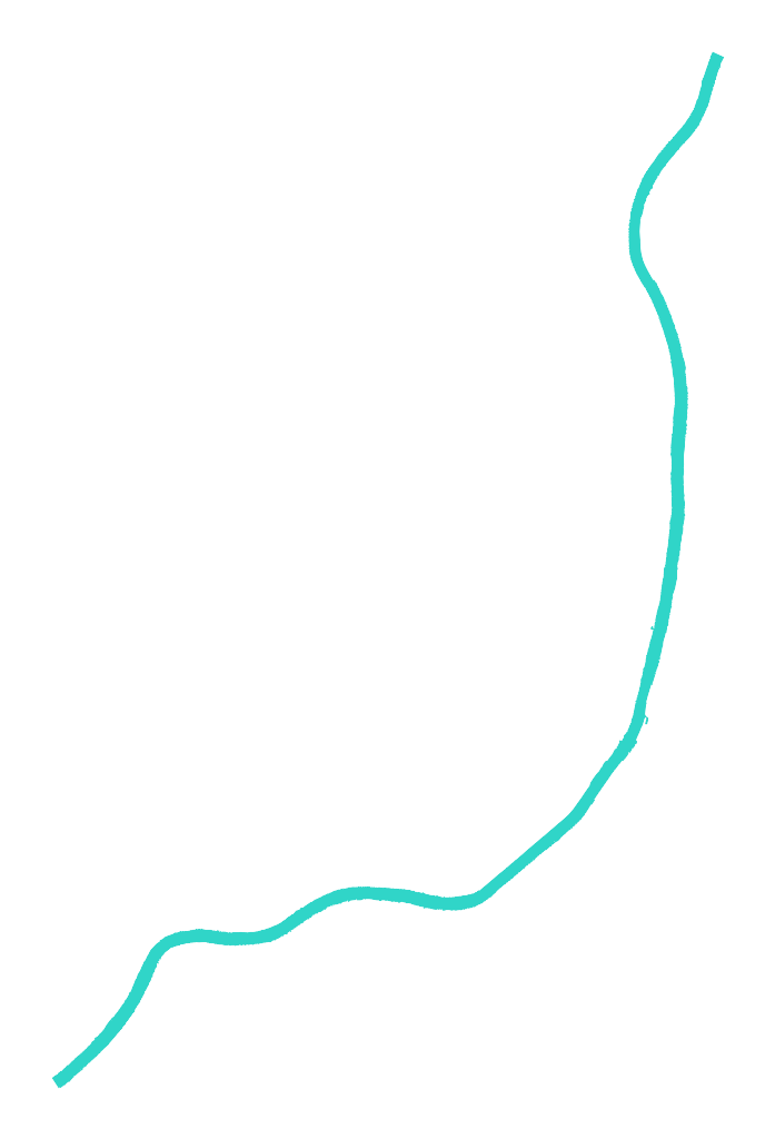 Wisła nr 4
