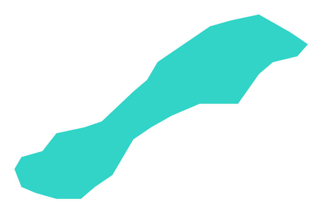 Rokitki