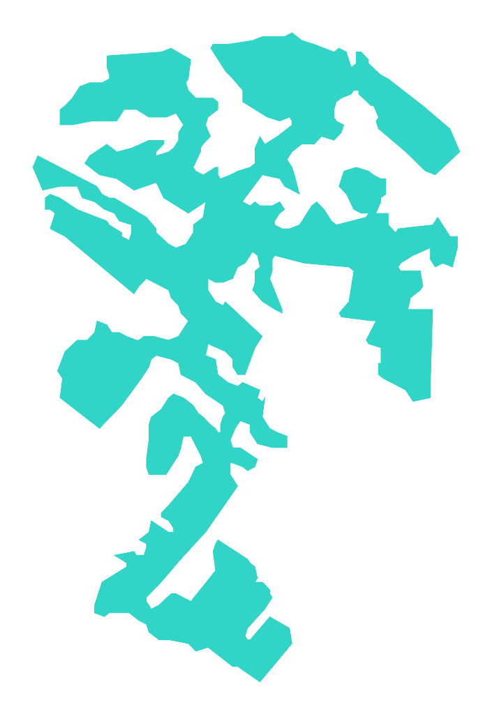 Brzezie