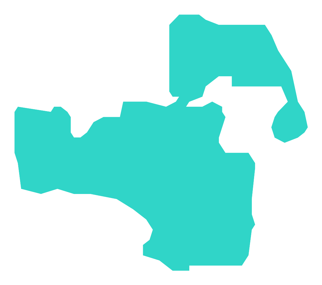 Cholerzyn