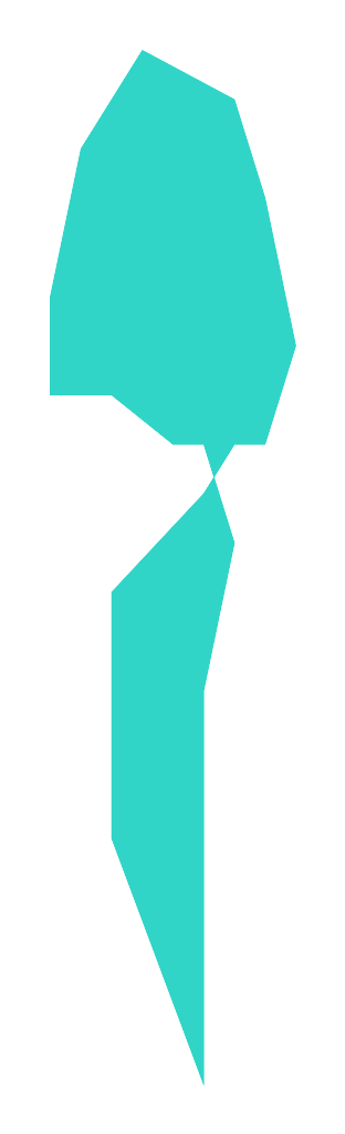 Olszyna