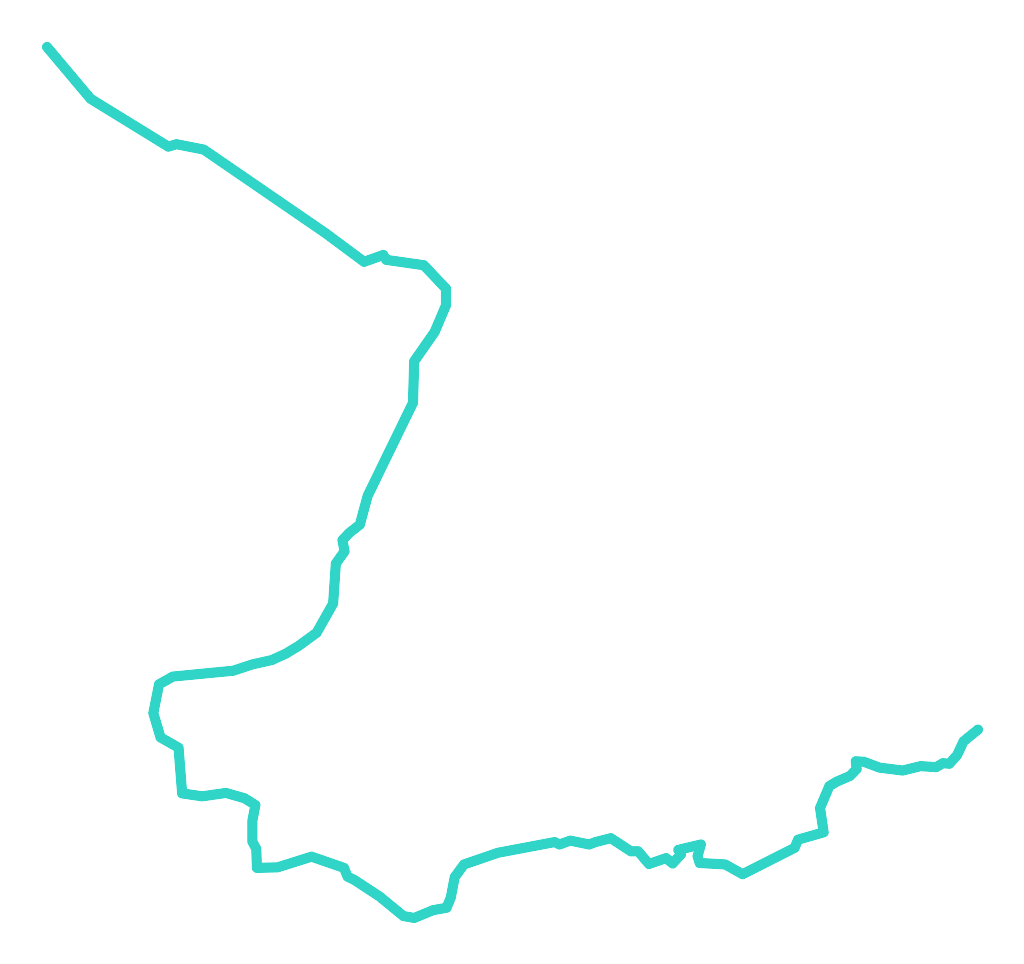 Samica