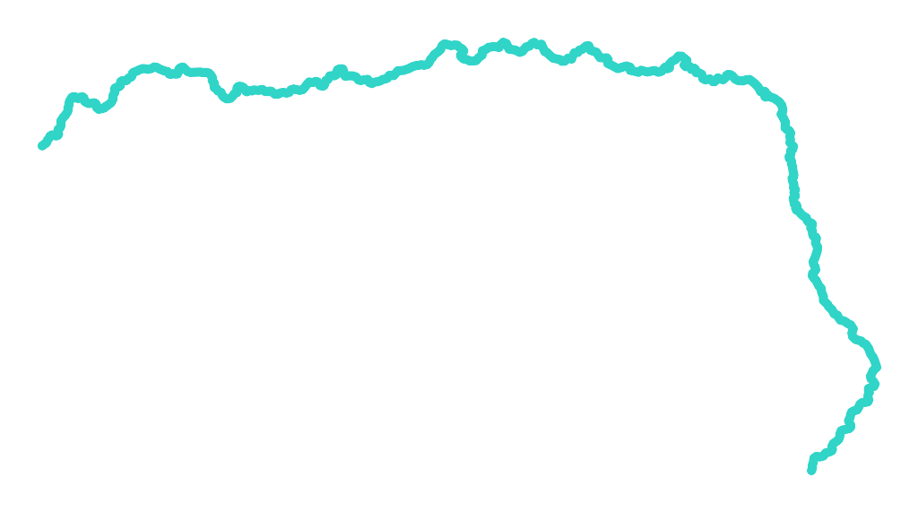 Warta nr 5