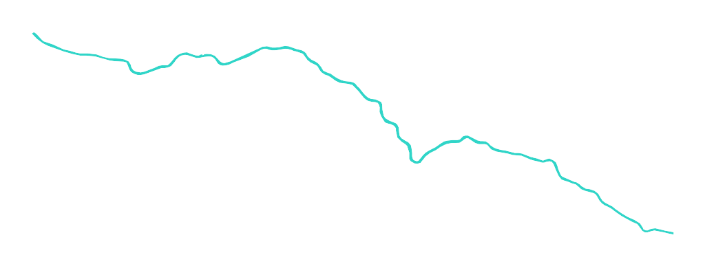 Warta nr 8