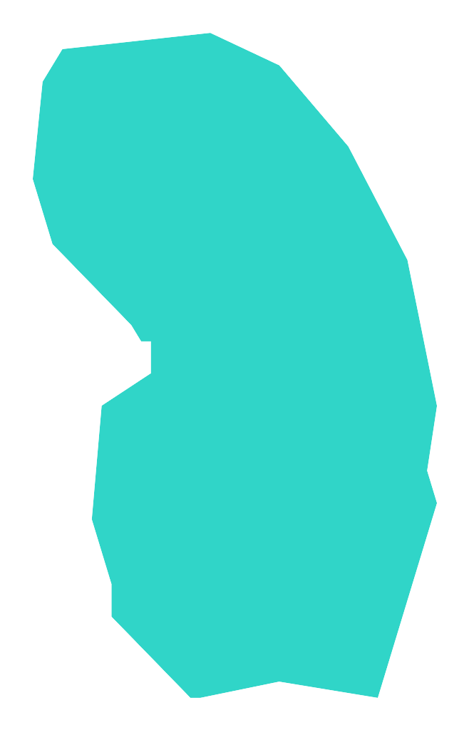 Jezioro Leśne