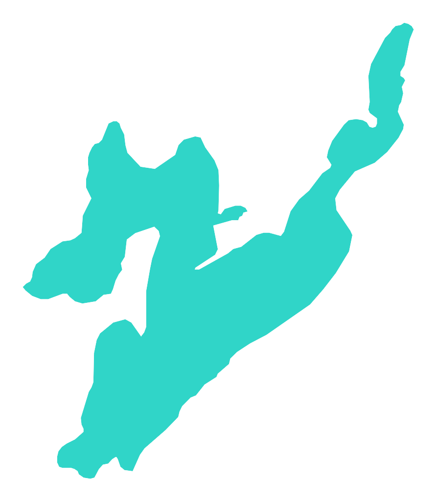 Niedzięgiel